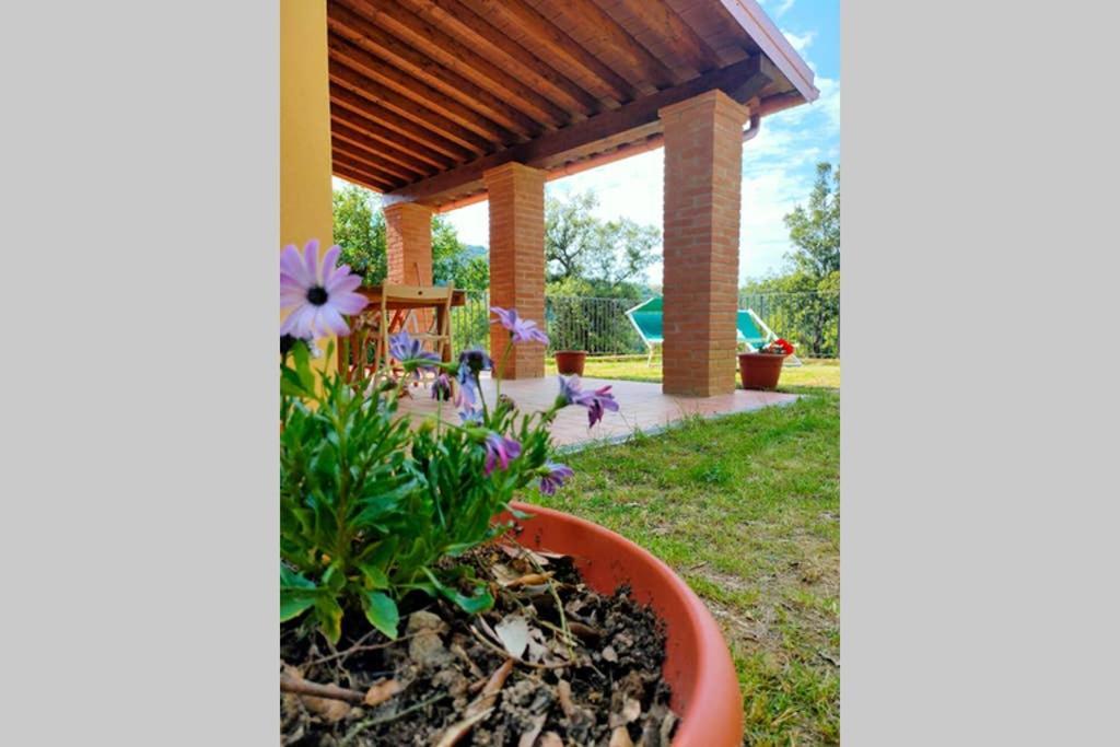 Villa Con Piscina 10 Posti Letto, L'Oliveta Di Rivalto Chianni Exterior photo